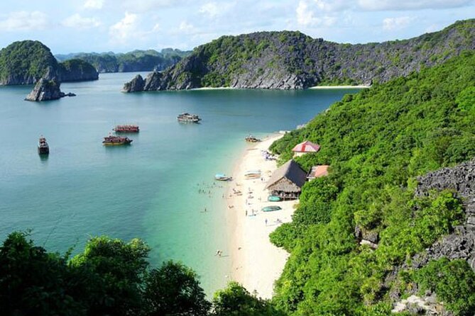 Halong Bay Cruises Best Seller - Pricing and Value: What $55 Is Really Paying For