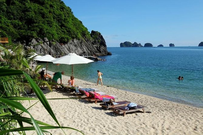 Halong Bay Full-Day - 5.5 Hours On-Boat With Cave And Kayaking - Price and Value: What $39 Includes (and What It Doesn’t)