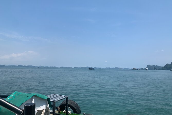 Halong Bay Full Day With 5 Star Cruise - Buffet Lunch - Buffet lunch in the middle of the day: fueling your cave and lagoon run