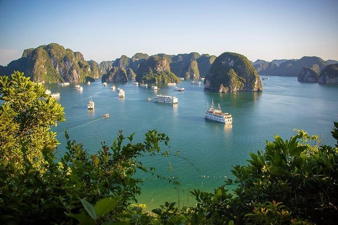 Halong Bay In Just One Day with Ti Top Island - Hanoi Pickup to Tuan Chau: The Bus Ride Rhythm