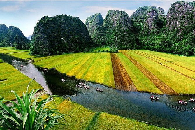 Halong Bay Shore Excursion 6 Hour Private Cruise from Cruise Port - Getting the Right Guide Service (And Why It Matters)