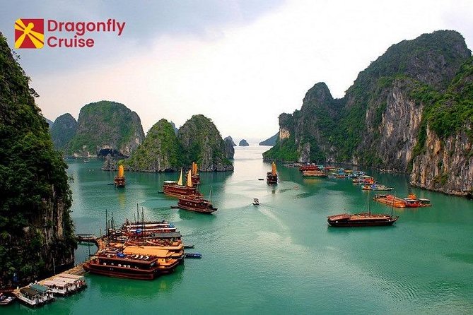 Halong Islands, Cave, Kayak, Bamboo Day Tour w Dragonfly Cruise - Price and value: is $120 a fair deal for this day?