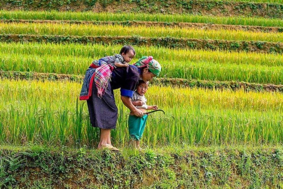 Hanoi: 2-Day Sa Pa Guided Village & Homestay Trekking Tour - Key things you’ll notice on this trek