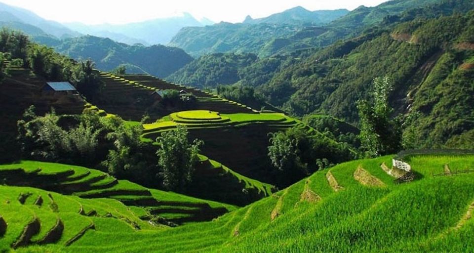 Hanoi: 2-Day Sa Pa Guided Village & Homestay Trekking Tour - Day 1: Hanoi to Sapa Town, Then Y Linh Ho to Lao Chai and Ta Van
