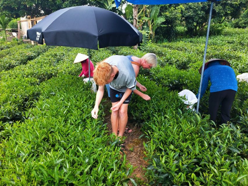 Hanoi: 3-Day Tour to Ban Gioc Waterfall and Ba Be Lake - Why This Route from Hanoi Feels More Like an Adventure