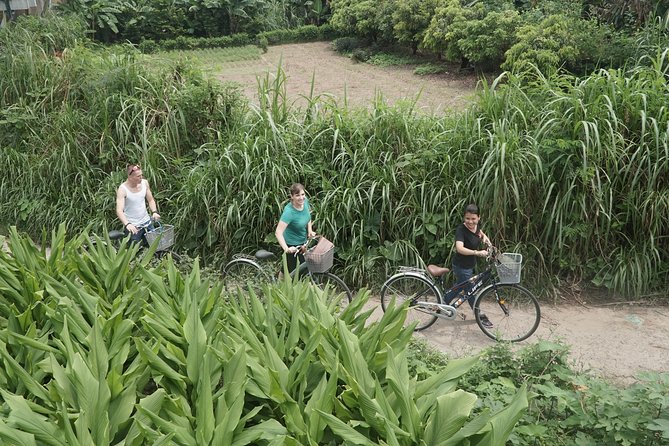 Hanoi Backstreet Bicycle Tour - Ta Hien Street culture, a cathedral photo stop, and Hoan Kiem Lake atmosphere
