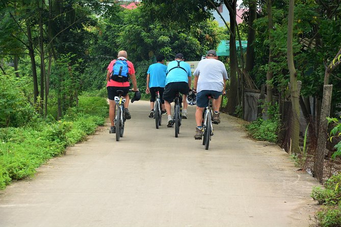 Hanoi Bicycle Tours: Half Day Bicycle Tours Hanoi Countryside - Co Loa Citadel, wet markets, and the food stops that feel real