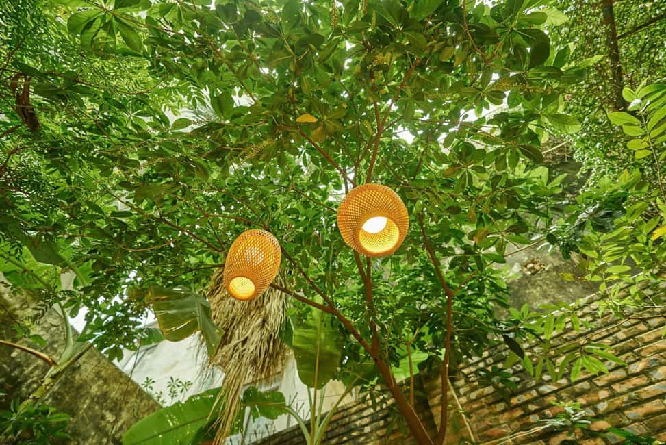 Hanoi Cooking Class: Pho/Bun Cha/Nem + Free Egg/ Salt Coffee - Cooking one Hanoi classic in a garden villa (without the tourist fluff)