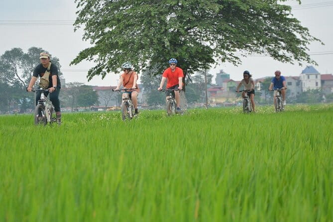 Hanoi Countryside By Bike & Local House and Food Tasting - Key highlights you’ll feel quickly