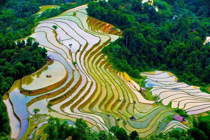 Hanoi Countryside By Bike & Local House and Food Tasting - Who should book this Hanoi countryside bike tour