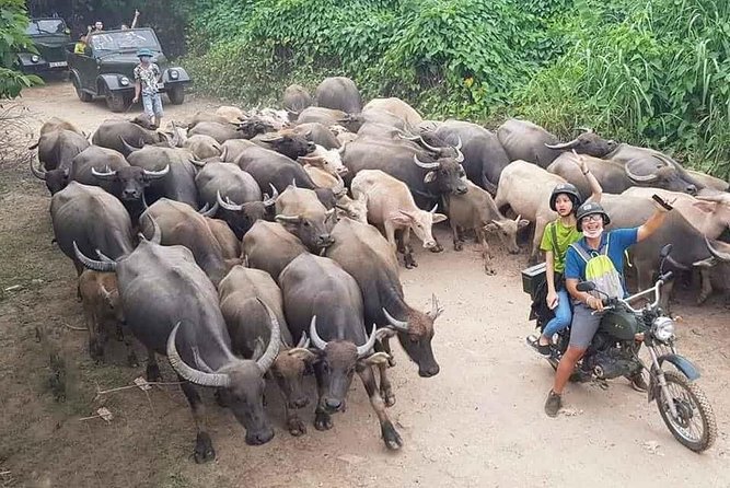 Hanoi Countryside Motorbike Tour: Red River Culture & Daily Life - Key takeaways before you go