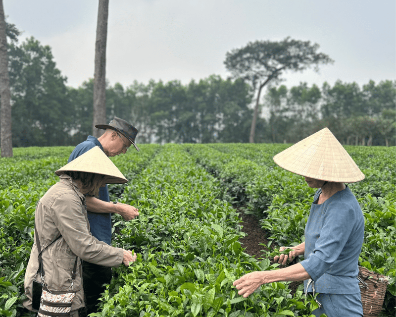 Hanoi Eco Tour: Ba Vi National Park Wonders & Tea Plantation - Ba Vi in One Long Day: how the 9-hour rhythm works