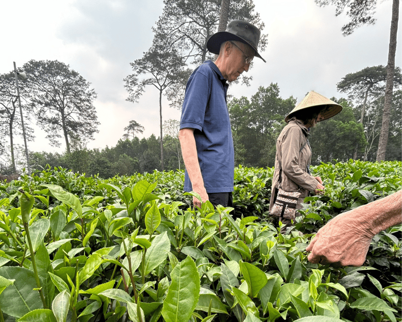 Hanoi Eco Tour: Ba Vi National Park Wonders & Tea Plantation - Lunch with a view: planning for the one extra cost