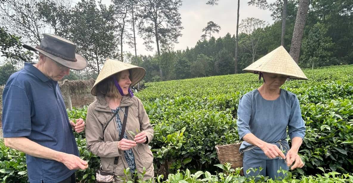 Hanoi Eco Tour: Ba Vi National Park Wonders & Tea Plantation - Price and value: is $80 fair for what you get?