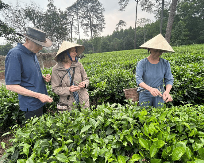 Hanoi Eco Tour: Ba Vi National Park Wonders & Tea Plantation - Who should book this Hanoi Eco Tour?