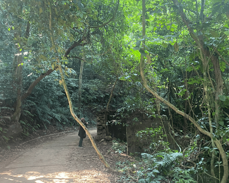 Hanoi Eco Tour: Ba Vi National Park Wonders & Tea Plantation - French church and prison remnants: what the history stop really gives you