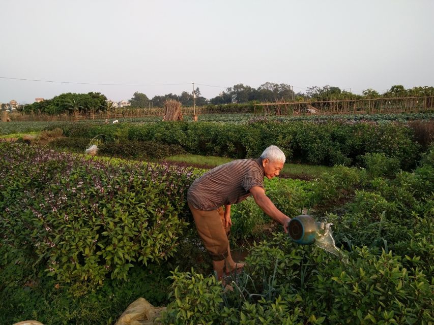 Hanoi Farm Tour and Cooking Class with Local Family - What You’ll Eat (and Why It Feels Different)