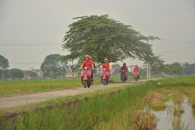 Hanoi Food Tours: Hanoi Foodie Scooter Tour Led By Women - Long Bien Bridge bun cha + West Lake pause