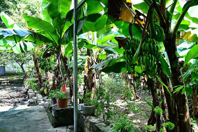 Hanoi Full Day A Private Tour With Mix of History and Activities - Coffee at Train Street: a quick, quirky pause