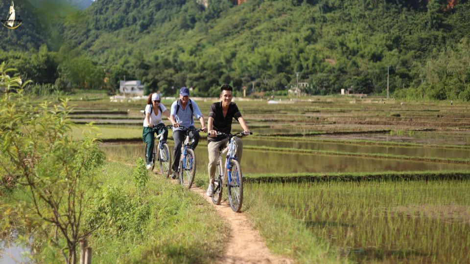 Hanoi: Full Day Guided Tour of Hoa Lu, Trang An, Mua Cave - Trang An cave boat trip: the main attraction (and it’s longer than you think)