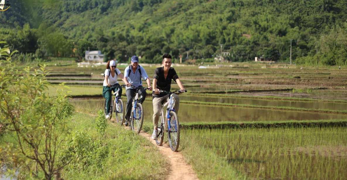 Hanoi: Full Day Guided Tour of Hoa Lu, Trang An, Mua Cave - Hoa Lư: Vietnam’s early capital area in a very walkable setting