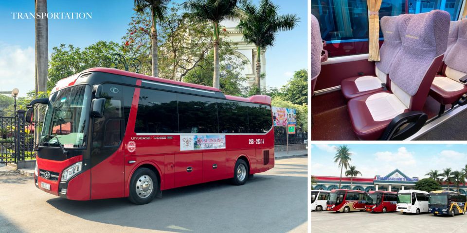 Hanoi: Ha Long Bay Cruise Day Tour visit Titop island & Cave - Halong Bay in One Trip: Sung Sot, Luon, and Titop