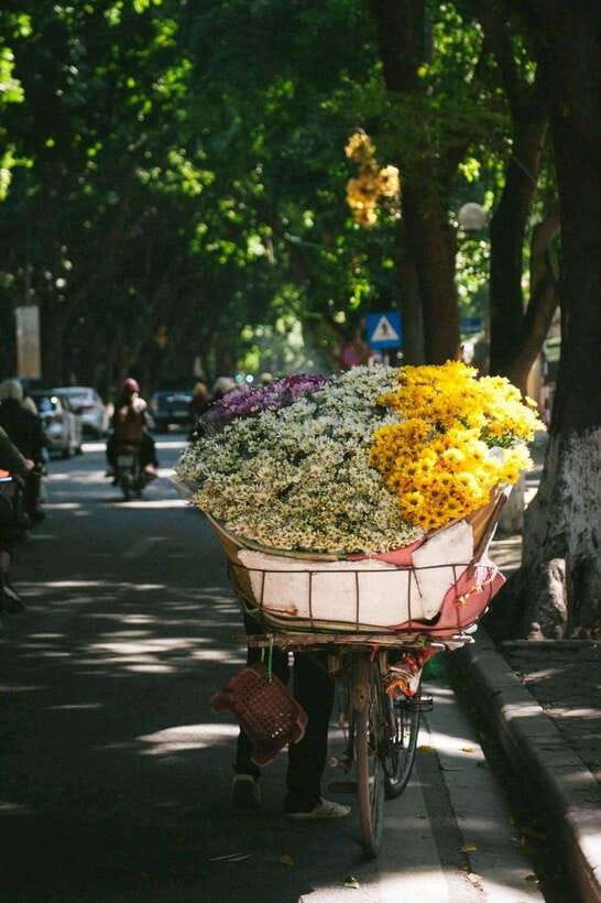 Hanoi: Half-day Private City Tour - Temple of Literature: Hanoi’s most photographed school site