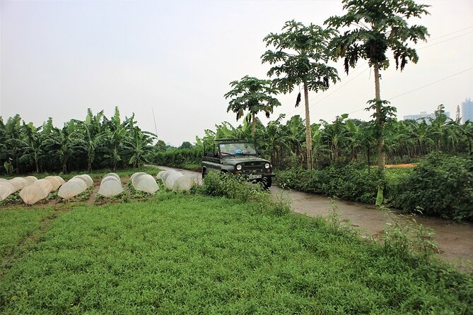 Hanoi Jeep Tours Led By Women: Hanoi Countryside By Legend Jeep - Ho Truc Bach and lunch: Vietnamese food plus egg coffee