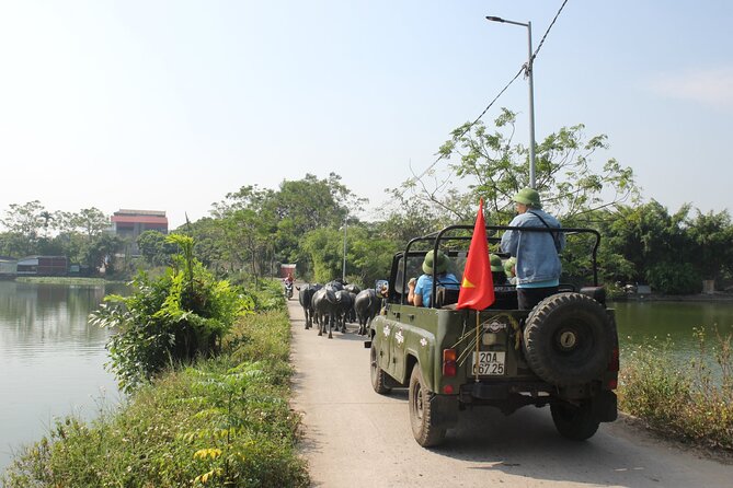 Hanoi Jeep Tours Led By Women: Hanoi Countryside By Legend Jeep - First stop energy: agriculture intro and bonsai in the countryside
