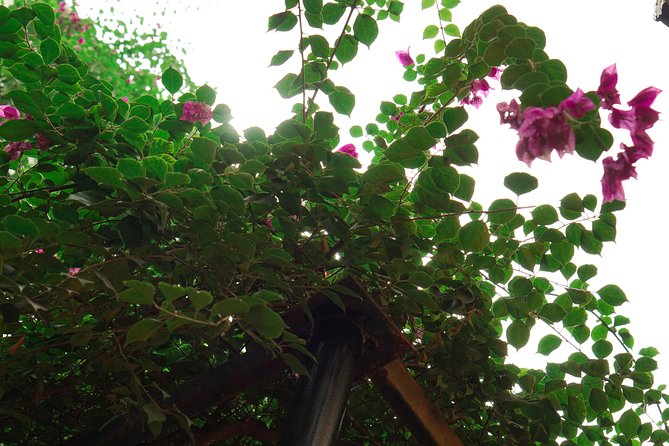 Hanoi Market & Villa Cooking Class: Free Old Quarter Transfer - Drinks and tastings: what’s included