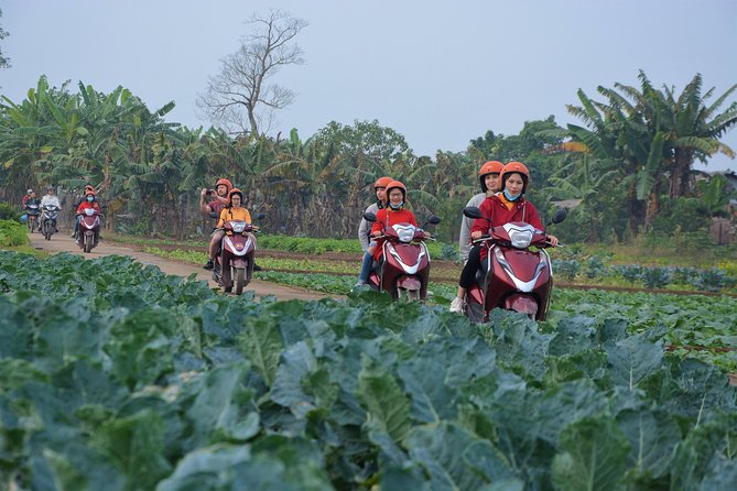 Hanoi Motorbike Tours Led By Women: Hanoi Outskirts & Rural Life - Where you meet: Hanoi Opera House and the quick start