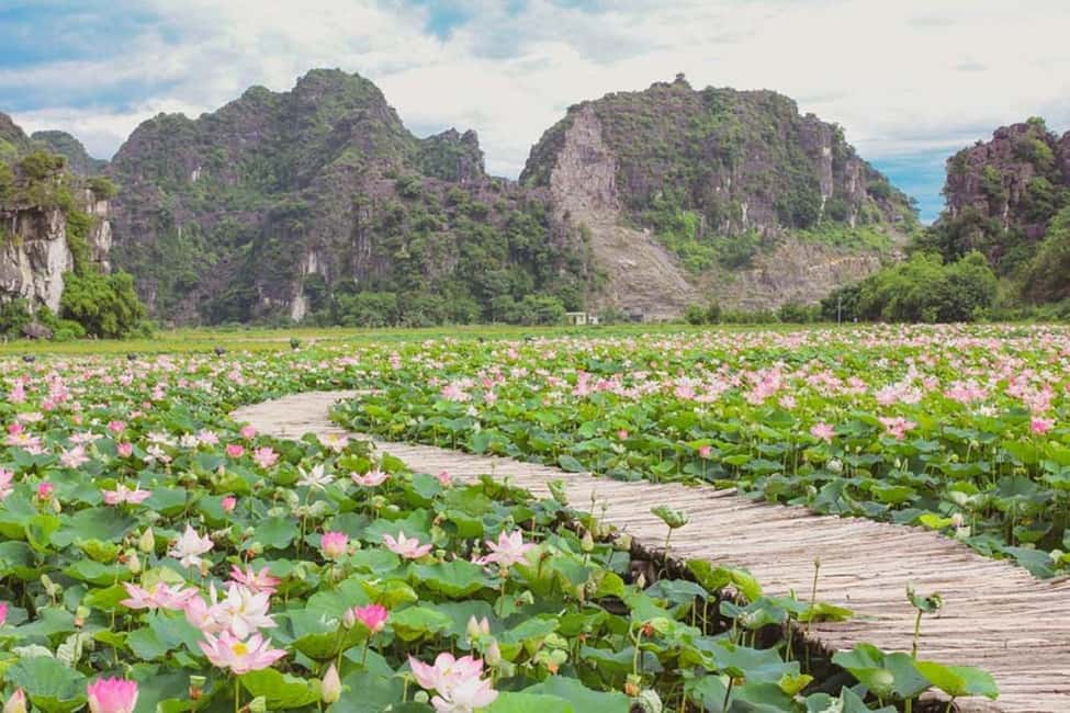 Hanoi / Ninh Binh: Trang An eco-tourism - Hoa Lu & Mua Cave - Trang An eco-tour by boat: caves, cliffs, and calm waterways