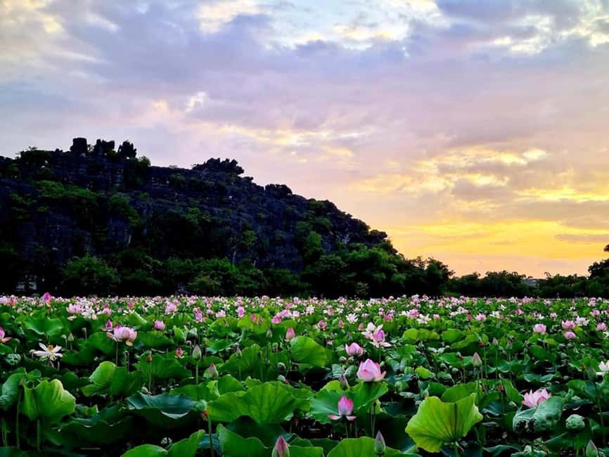 Hanoi / Ninh Binh: Trang An eco-tourism - Hoa Lu & Mua Cave - Price and logistics: where value really comes from