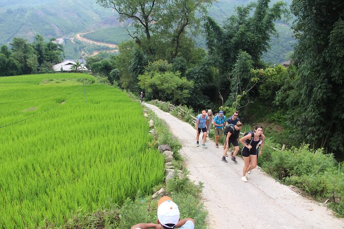Hanoi - Sapa 2 Days 1 Night Overnight At Local Homestay - Day 2 Trek to Giang Ta Chai and Su Pan, Then Back to Sapa and Hanoi