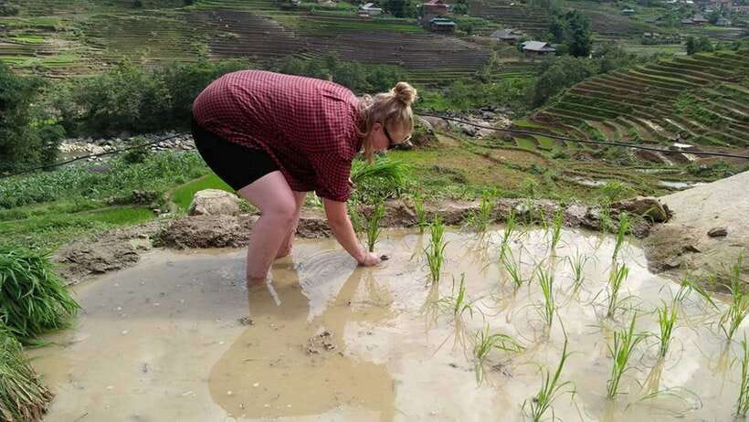 Hanoi- SaPa: 3-Day Homestay Trek to Explore Ethnic cultures - Why This 3-Day Sapa Homestay Trek Feels Worth It