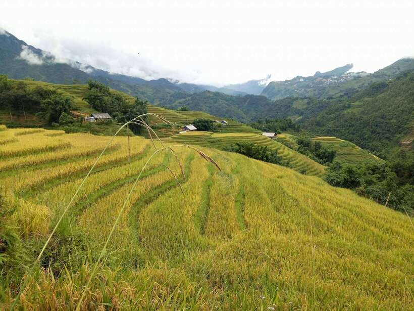 Hanoi- SaPa: 3-Day Homestay Trek to Explore Ethnic cultures - Day 3 Payoff: Sunrise in Ban Ho Valley and Nam Tong Traditions