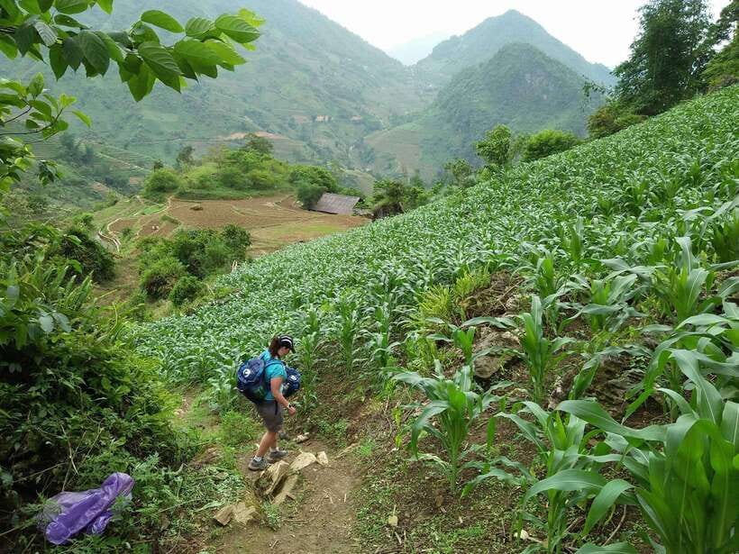 Hanoi- SaPa: 3-Day Homestay Trek to Explore Ethnic cultures - Homestays and Food: What You’re Really Signing Up For