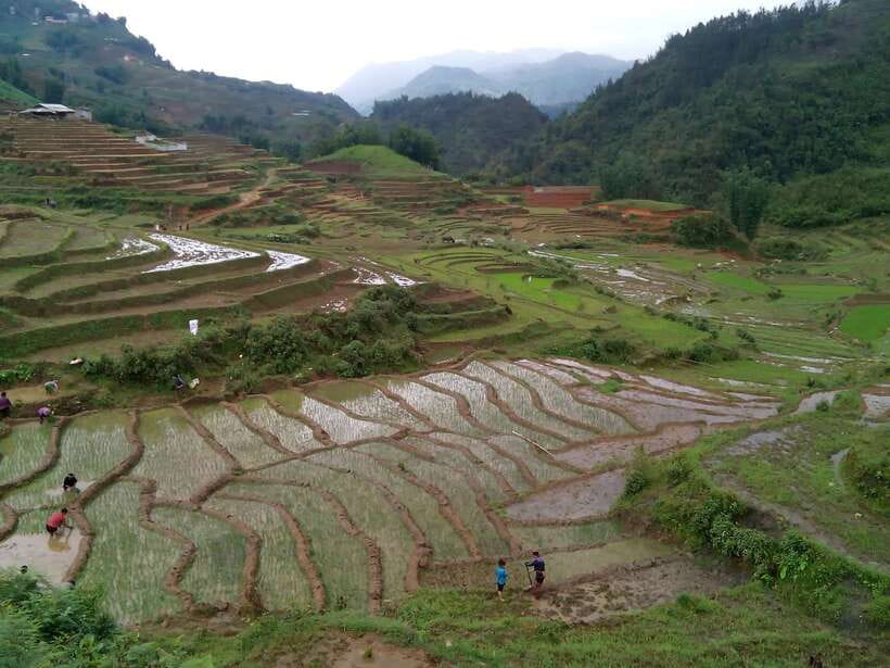 Hanoi- SaPa: 3-Day Homestay Trek to Explore Ethnic cultures - Price and Value: What $139 Actually Buys