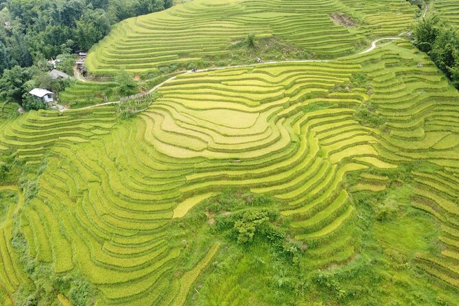 Hanoi - Sapa 3 Days - 2 Nights Trekking with With the locals - Why small-group Hmong guiding matters on village treks