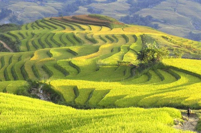 Hanoi-Sapa Trek 2 days 2 nights and Homestay with small group - The village route in Sapa: Cat Cat to Su Pan and beyond