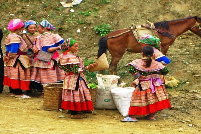 Hanoi-Sapa Trek 2 days 2 nights and Homestay with small group - What’s included: meals and guide time that actually help