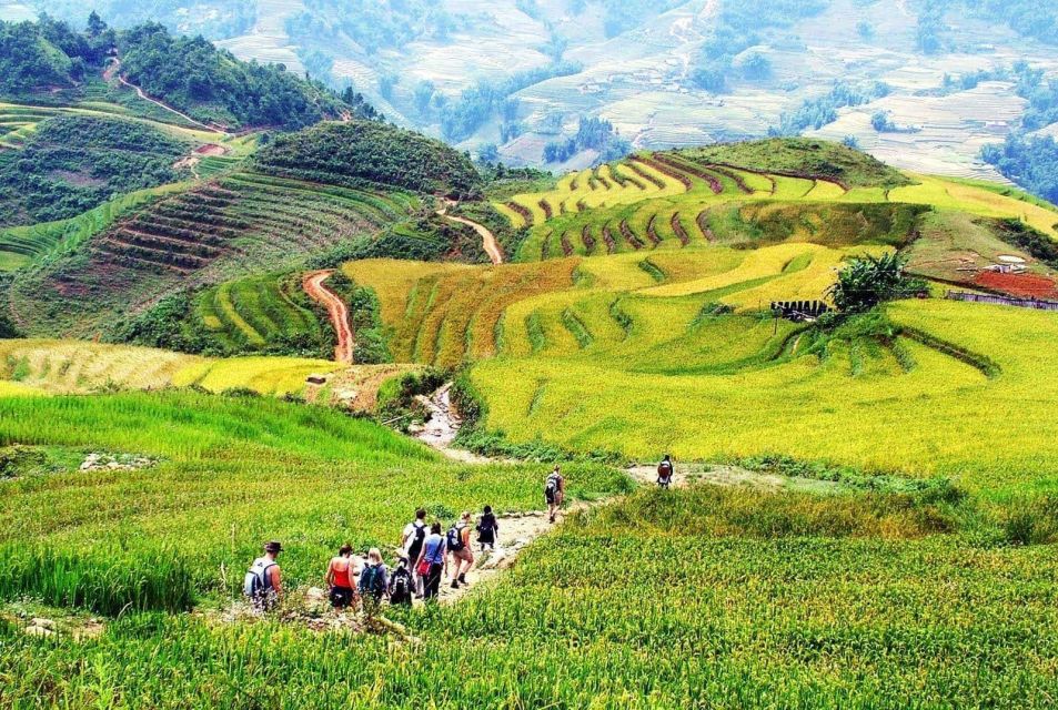 Hanoi: Sapa Trekking 2 Days 1 Night - Sleeper Bus from Hanoi - Should you book this Hanoi to Sapa 2D1N trek?