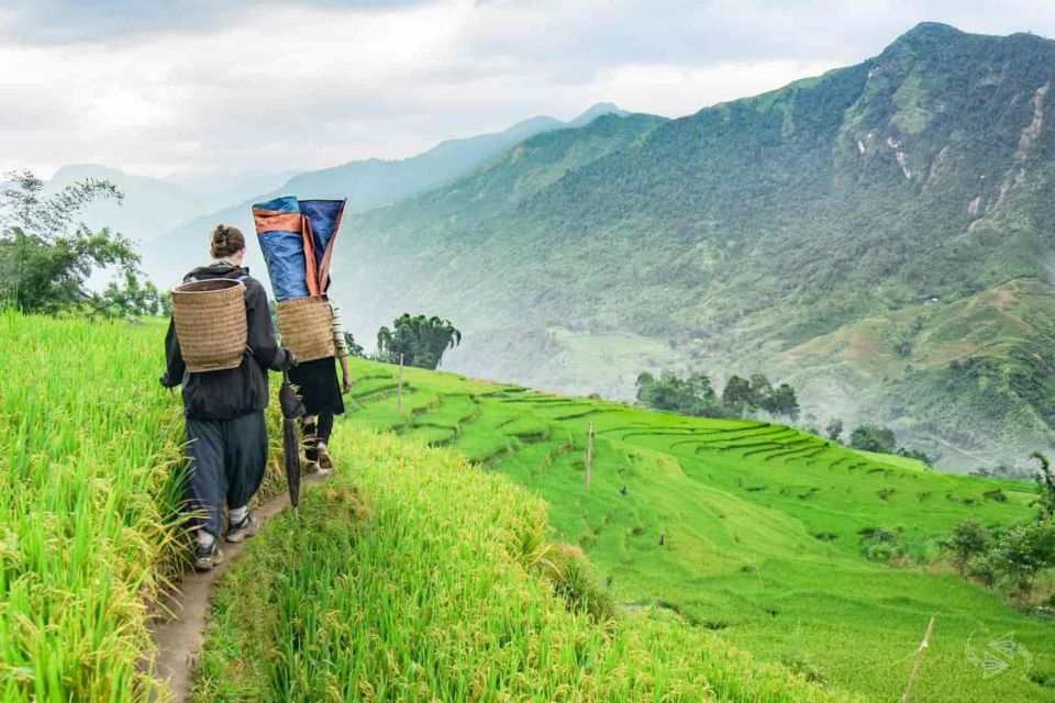 Hanoi: Sapa Trekking 2 Days 1 Night - Sleeper Bus from Hanoi - Day 2 trek: Y Linh Ho, Lao Chai, Muong Hoa Valley, and Ta Van