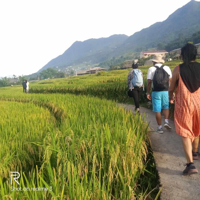 Hanoi: Sapa Trekking 2 Days 1 Night - Sleeper Bus from Hanoi - Hotel vs homestay expectations: what you actually get in Sapa