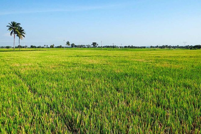 Hanoi Vespa Countryside Tour With Female Ao Dai Riders Half Day - Co Loa Citadel: getting ancient context in the middle of the countryside