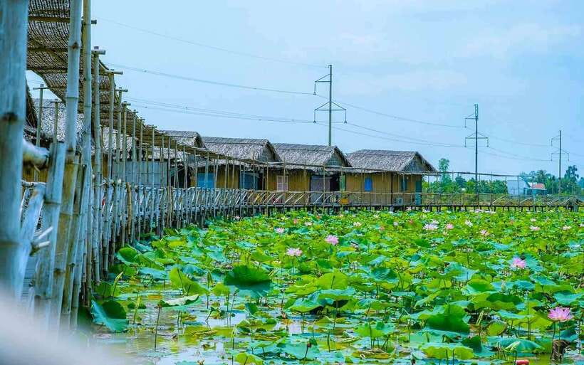 HCM: Authentic Dong Thap Mekong Delta Day Trip & Boat Ride - Market Time and Fruit Souvenirs: A Nice Way to End