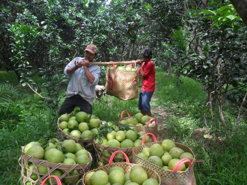 HCMC: Cai Rang Floating Market & Mekong Delta Private Tour - Who Should Book This Private Mekong Delta Day Trip