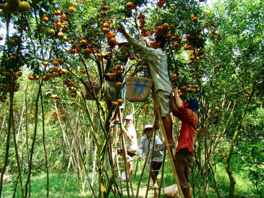HCMC: Cai Rang Floating Market & Mekong Delta Private Tour - Sampan Canals with Coconut Palms: A Different Scale of Seeing