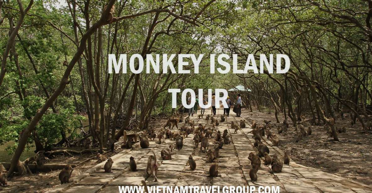 HCM:Can Gio Mangrove Forest Tour-Monkey Island - Key highlights worth planning for