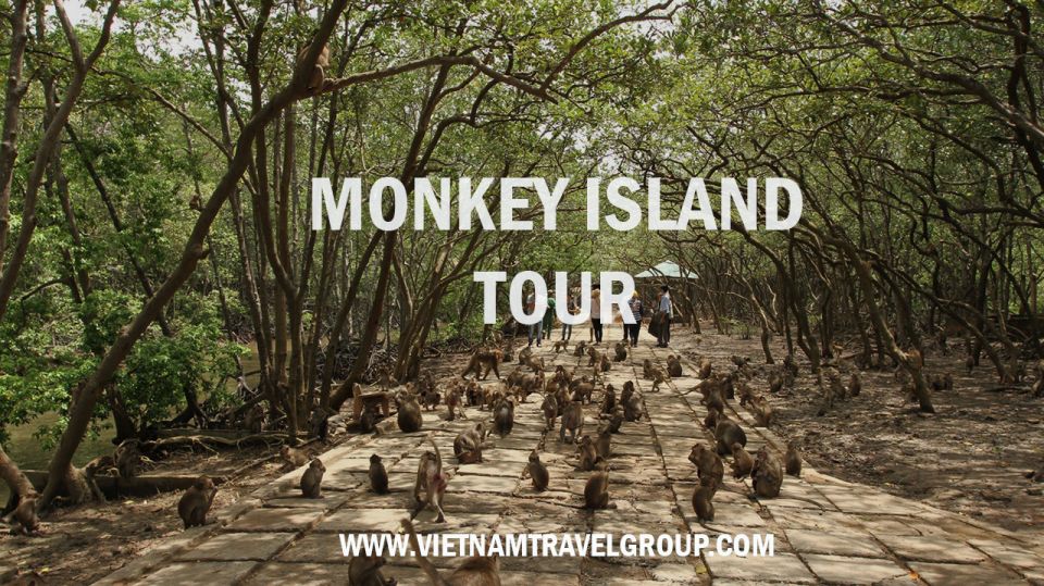 HCM:Can Gio Mangrove Forest Tour-Monkey Island - From District 1 to Cần Giờ: the ride that sets the tone